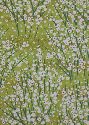 
Grass and White Flowers
on green