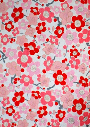 
Red and Pink Plum Blossoms