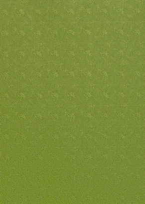 
Green Starbursts
8.5" x 11"